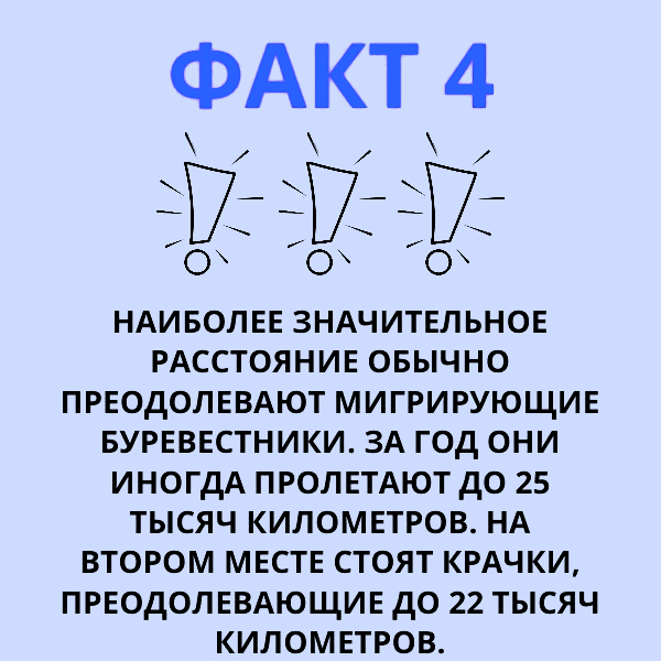 5 1715565570192 (1).jpg